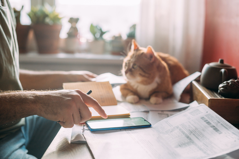 Close-up of men's hands with a calculator and utility bills. The concept of rising prices for heating, gas and electricity. Lots of utility bills, hands and a cat on the table